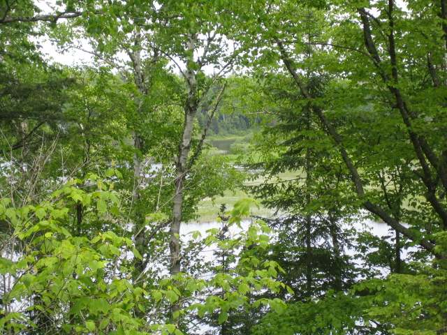 On Roebels Park Road Mercer, WI 54547 - Photo 9 of 20 Gallery Image 9