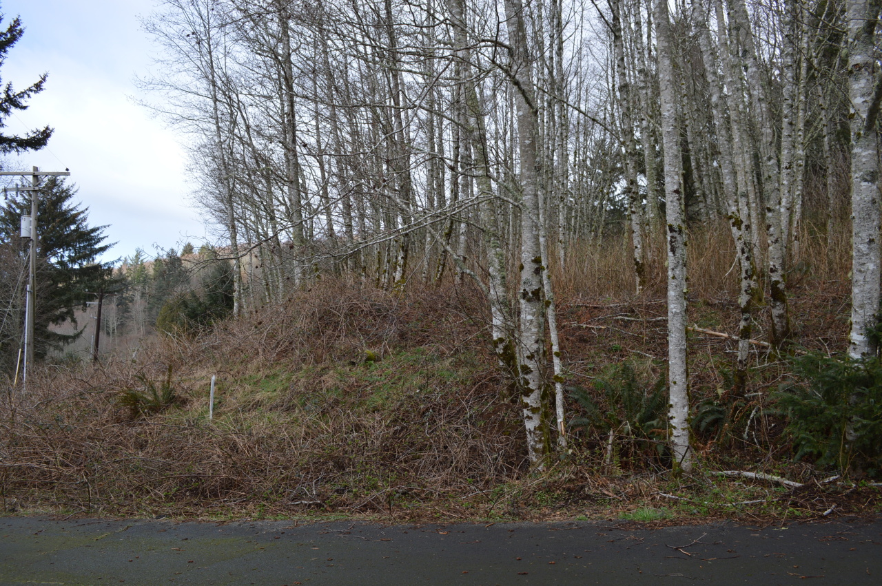 309 Brooten Hill Road Pacific City, OR 97135 - Photo 2 of 3 Lot from Street