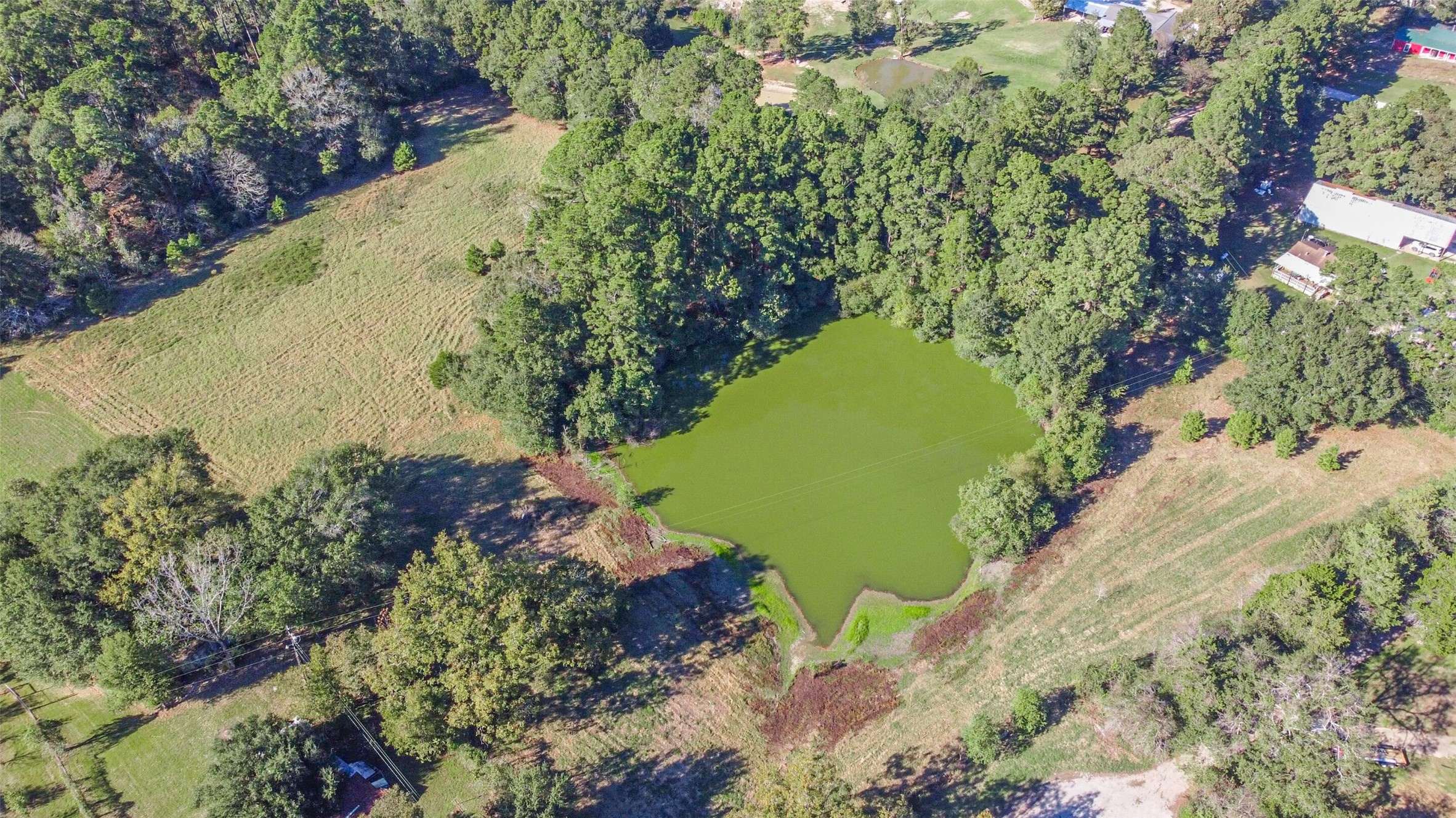 140 Little Loop Road New Waverly, TX 77358 - Photo 6 of 10