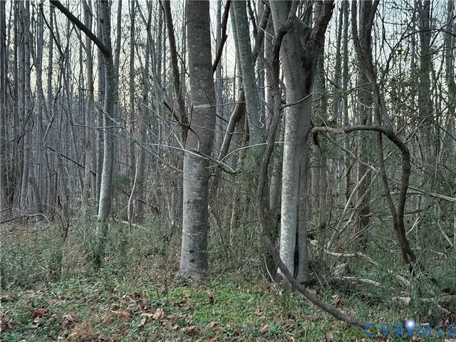 $200,000 | 0 Sesuit Lane, Mechanicsville, VA 23111