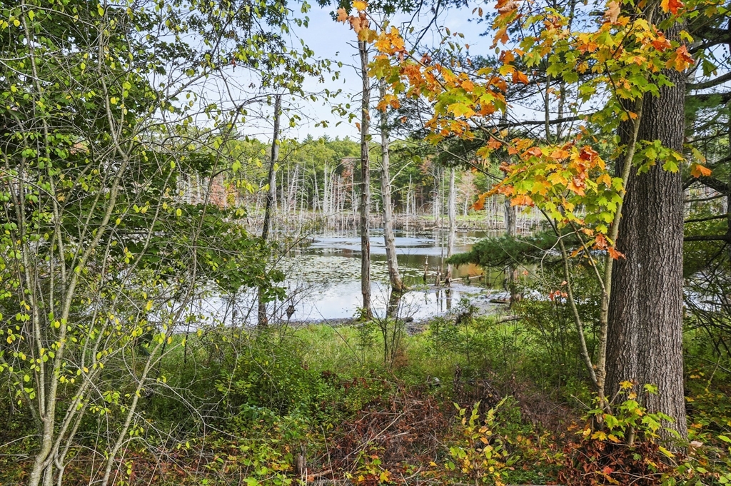 83 Clark Road, Unit 41 Shirley, MA 01464 - Photo 26 of 26 a view of yard with tree