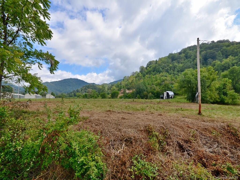 2596 Beaverdam Road Canton, NC 28716 - Photo 3 of 5