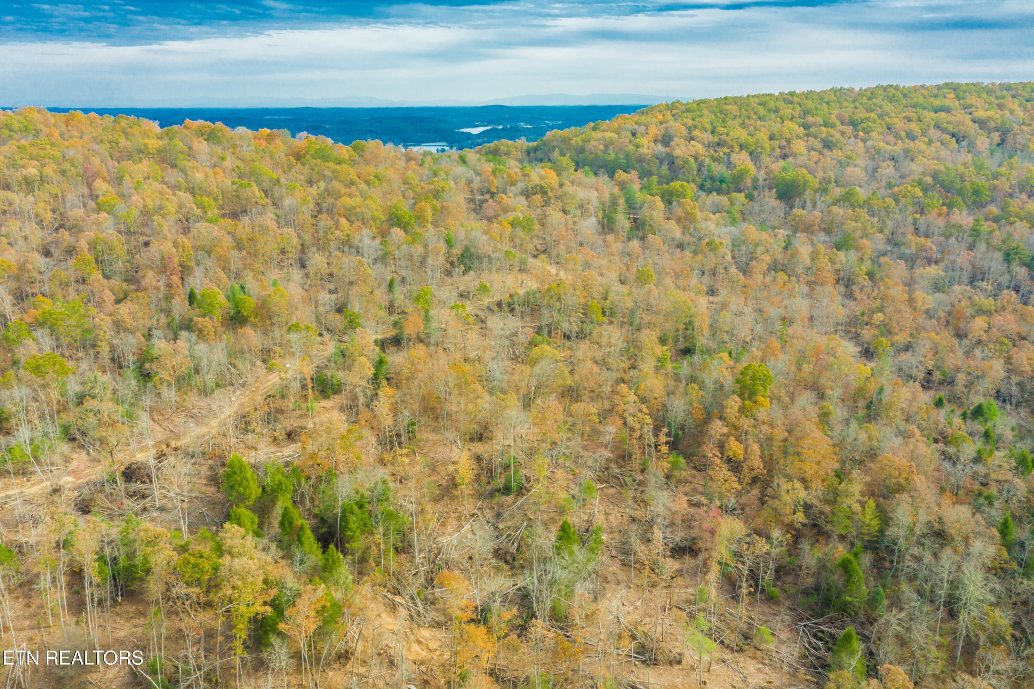 0 Tower Road Rockwood, TN 37854 - Photo 11 of 36 Gallery Image 11