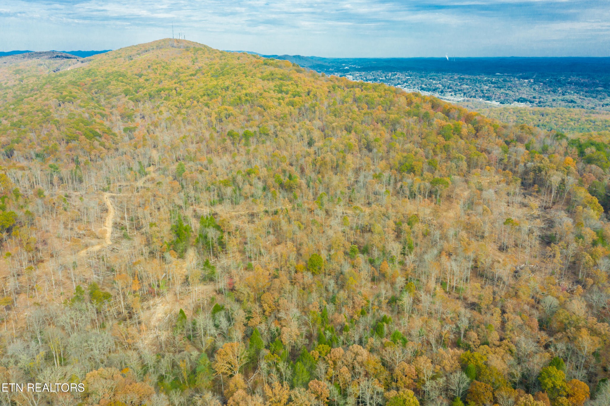 0 Tower Road Rockwood, TN 37854 - Photo 14 of 36 Gallery Image 14