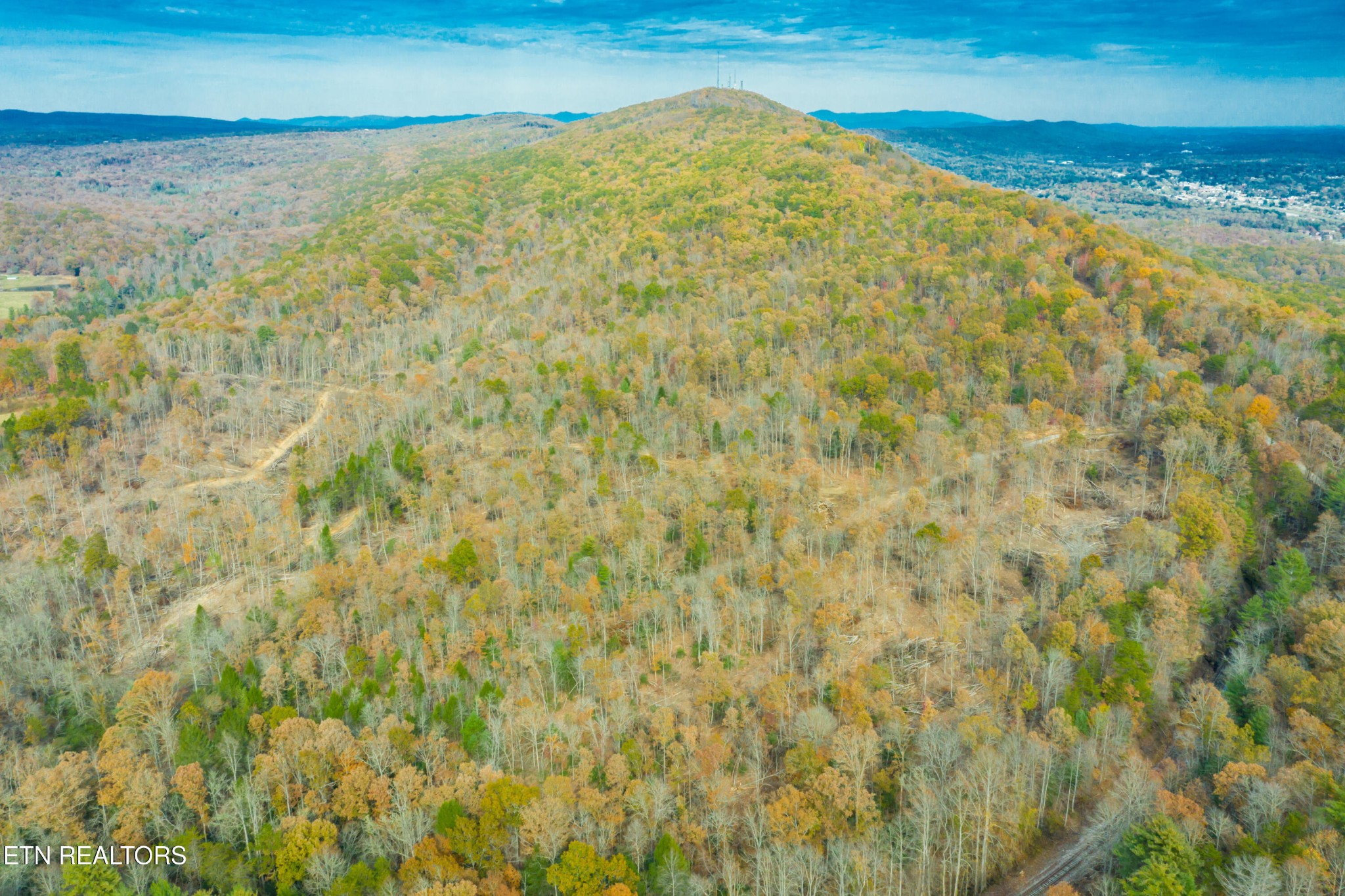0 Tower Road Rockwood, TN 37854 - Photo 16 of 36 Gallery Image 16