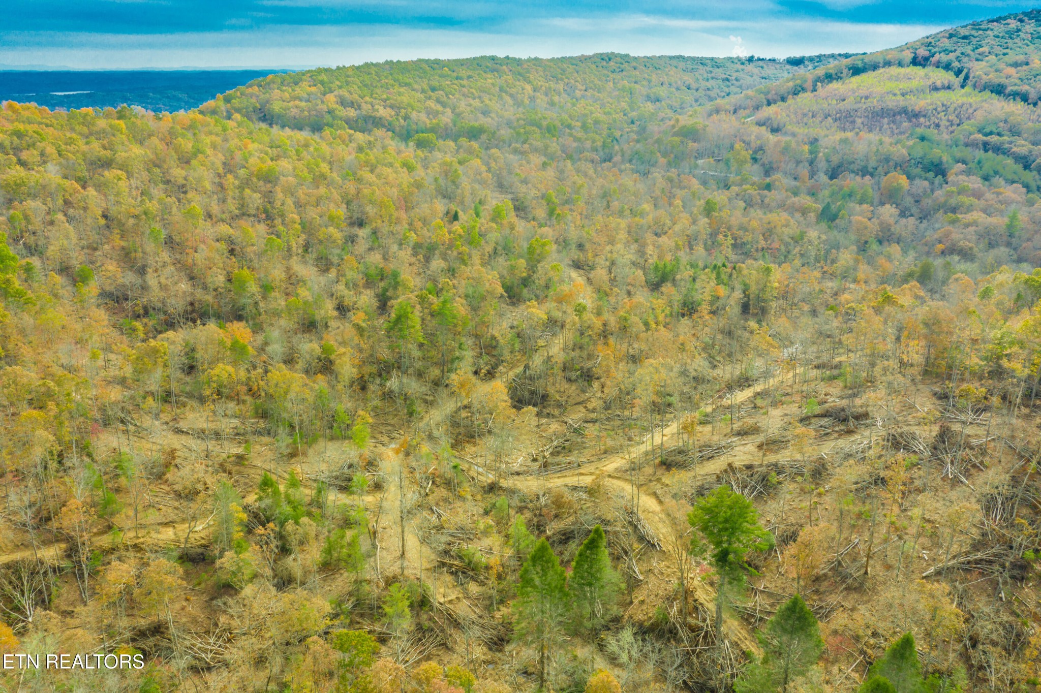 0 Tower Road Rockwood, TN 37854 - Photo 24 of 36 Gallery Image 24