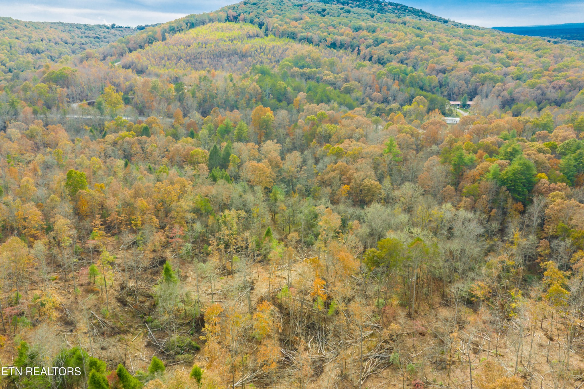 0 Tower Road Rockwood, TN 37854 - Photo 26 of 36 Gallery Image 26