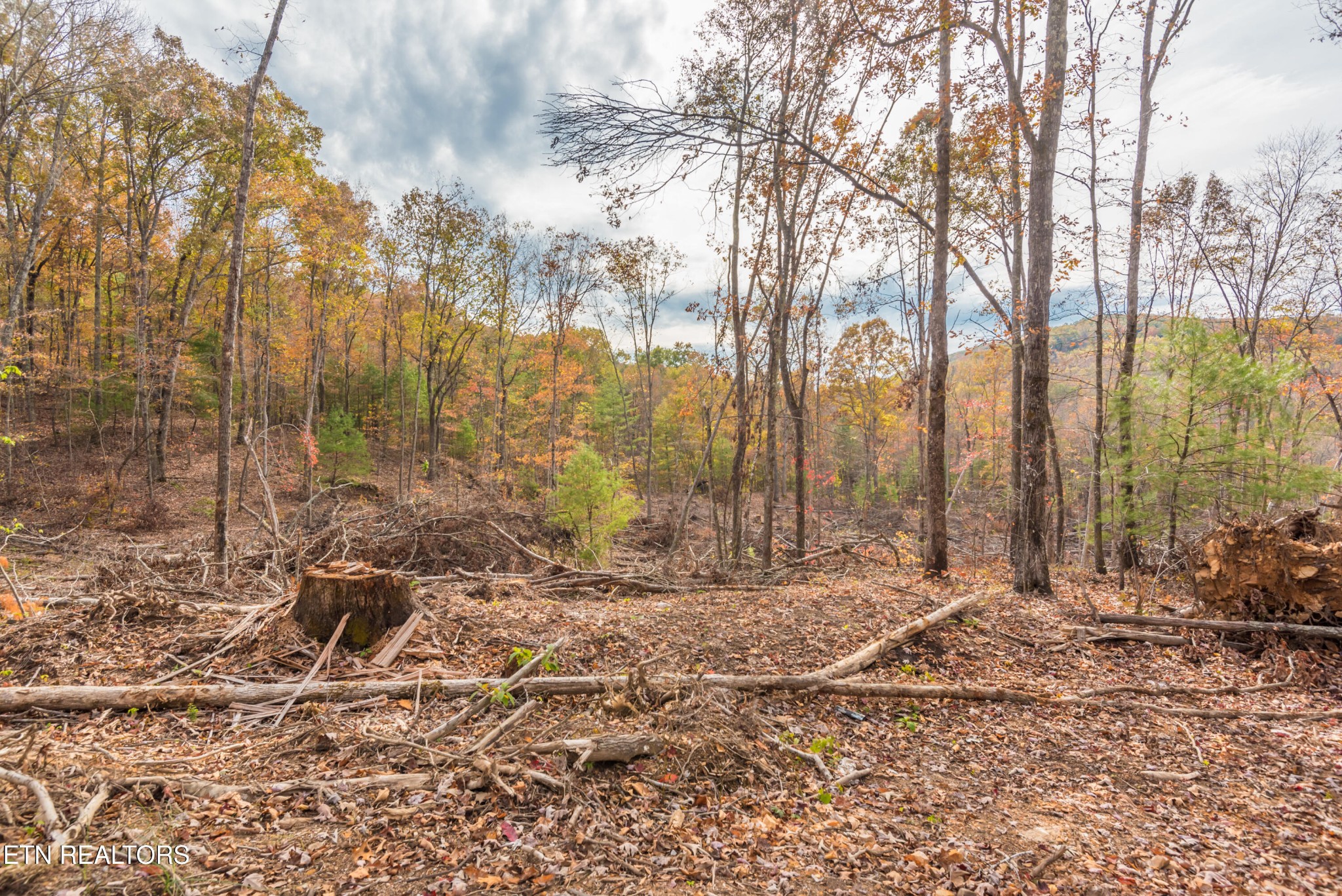 0 Tower Road Rockwood, TN 37854 - Photo 33 of 36 Gallery Image 33