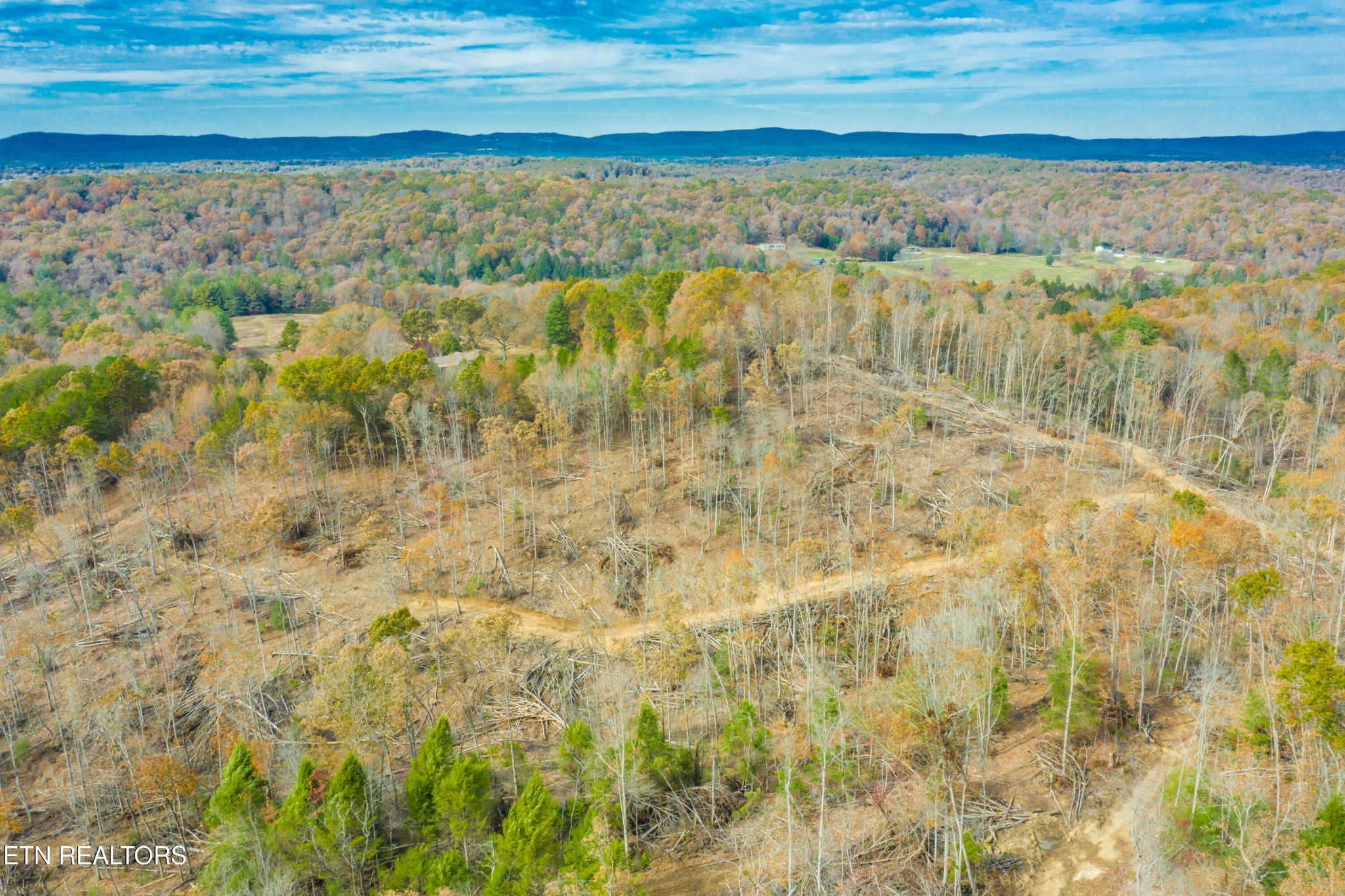 0 Tower Road Rockwood, TN 37854 - Photo 8 of 36 Gallery Image 8