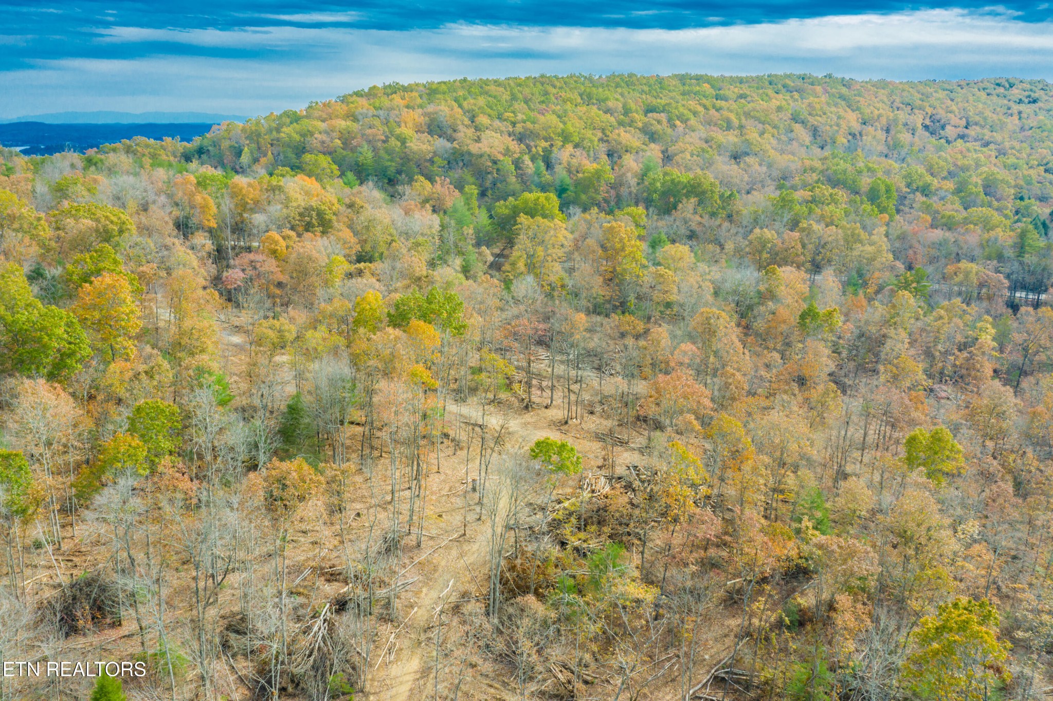 0 Tower Road Rockwood, TN 37854 - Photo 9 of 36 Gallery Image 9