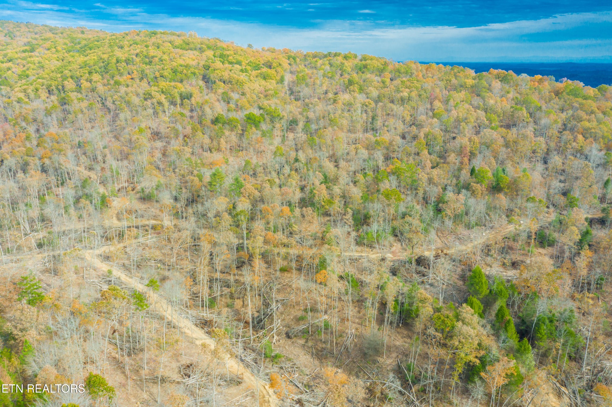 0 Tower Road Rockwood, TN 37854 - Photo 10 of 36 Gallery Image 10