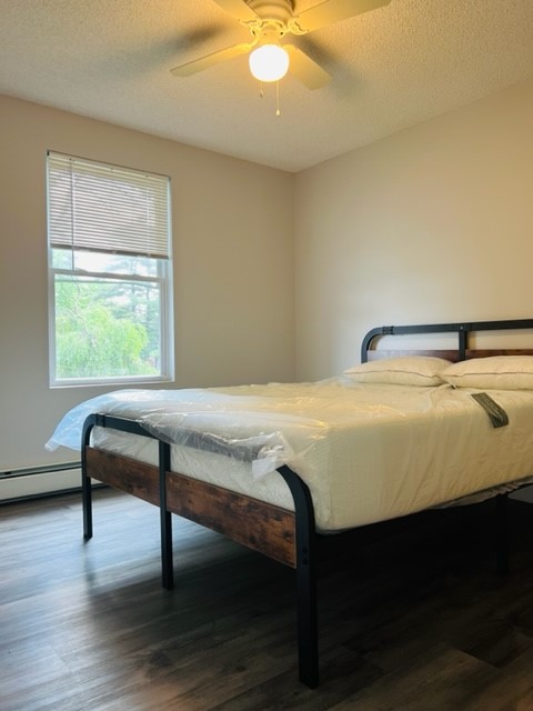 33 Cecile Street Lincoln, RI 02865 - Photo 8 of 12