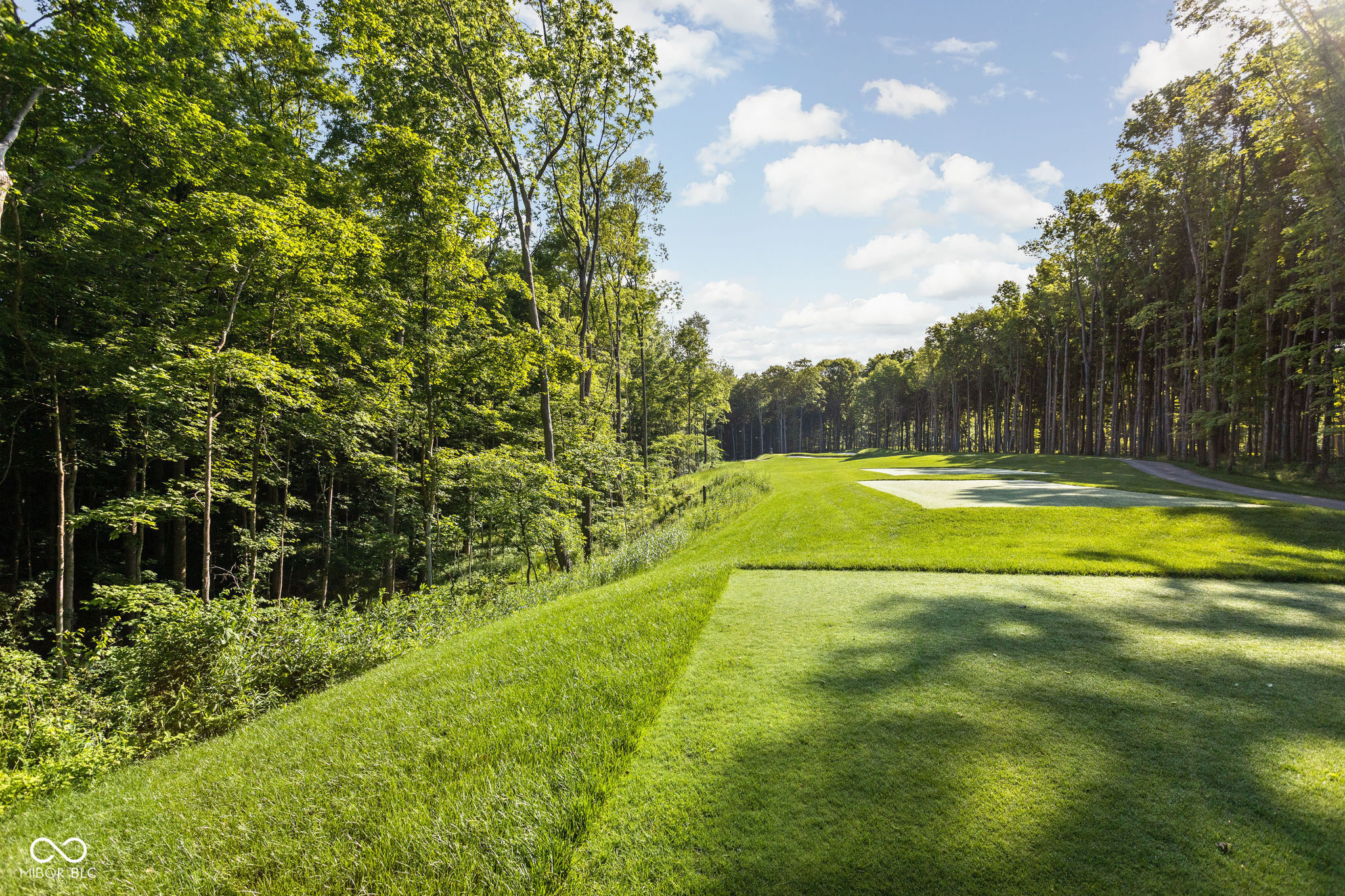 4580 Strathmore Lane Zionsville, IN 46077 - Photo 13 of 23