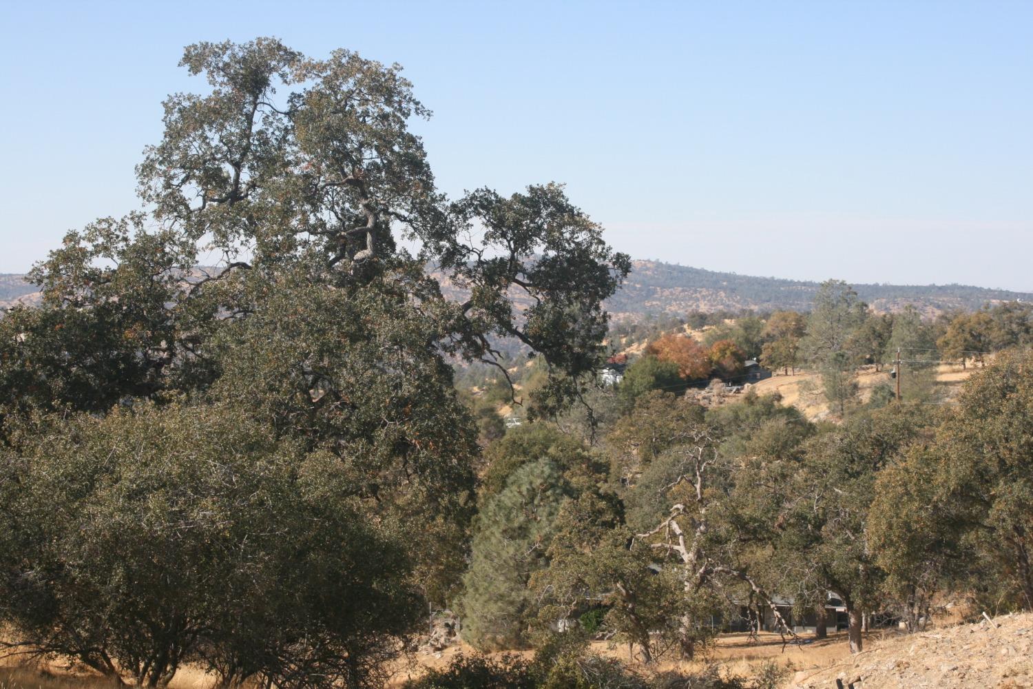 a view of mountain view with lots of trees