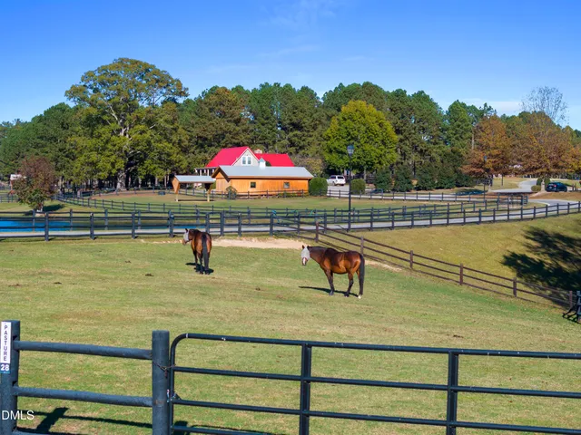 $1,050,000 | 90 Paraggi Court, Clayton, NC 27527