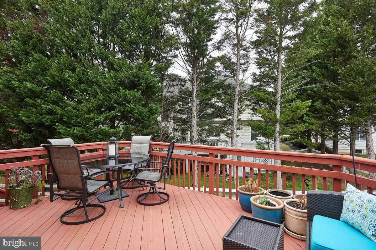 11404 Ridge Mist Terrace Potomac, MD 20854 - Photo 10 of 33 Expansive Patio Deck