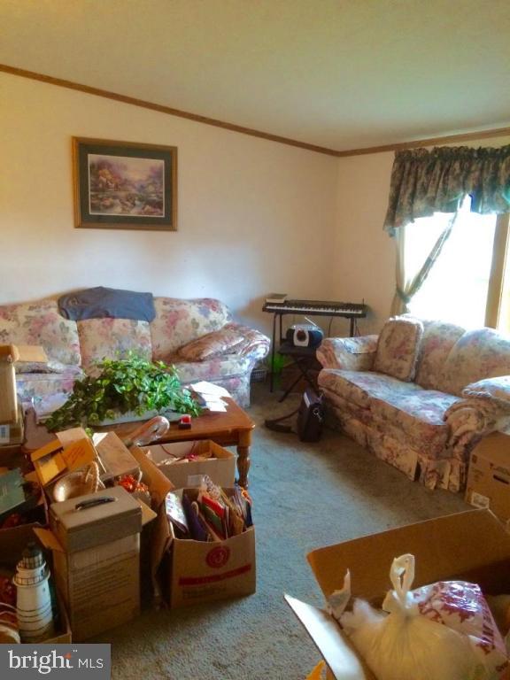 317 South Pool Forge Road Narvon, PA 17555 - Photo 7 of 14 Gallery Image 7