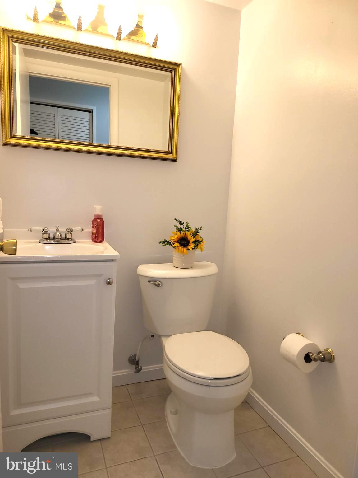 6556 Frietchie Row Columbia, MD 21045 - Photo 9 of 21 a bathroom with a sink a toilet and a mirror