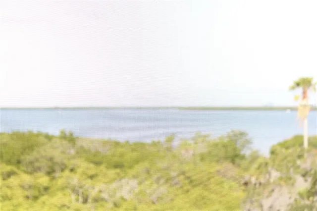 an aerial view of valley and trees
