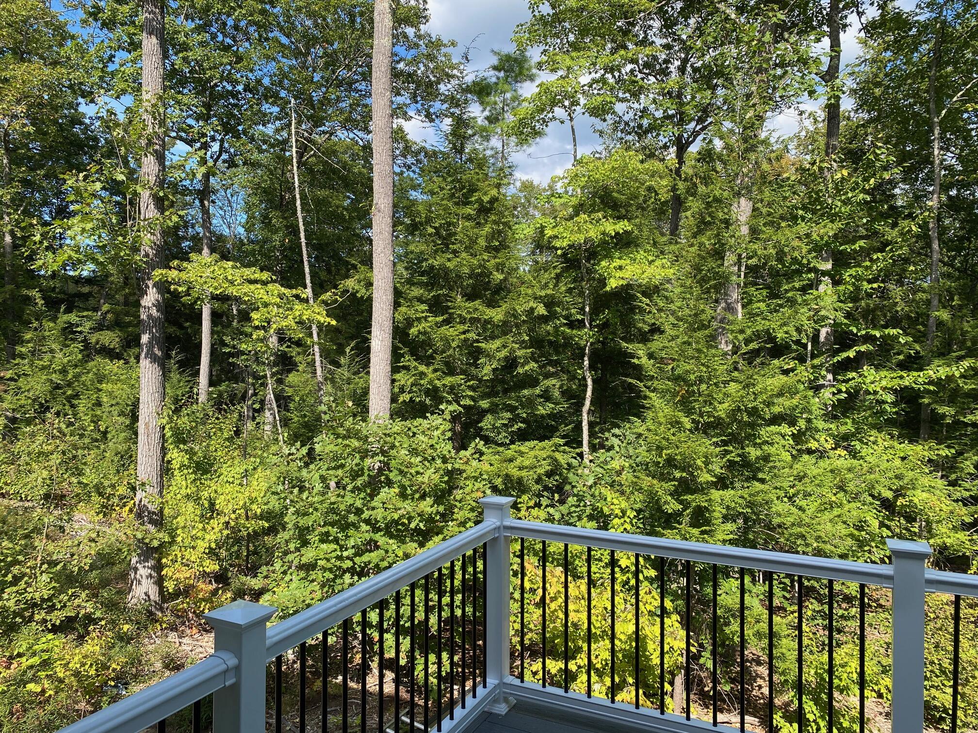 54 Woodbrey Lane Standish, ME 04084 - Photo 5 of 49 IMG_2259