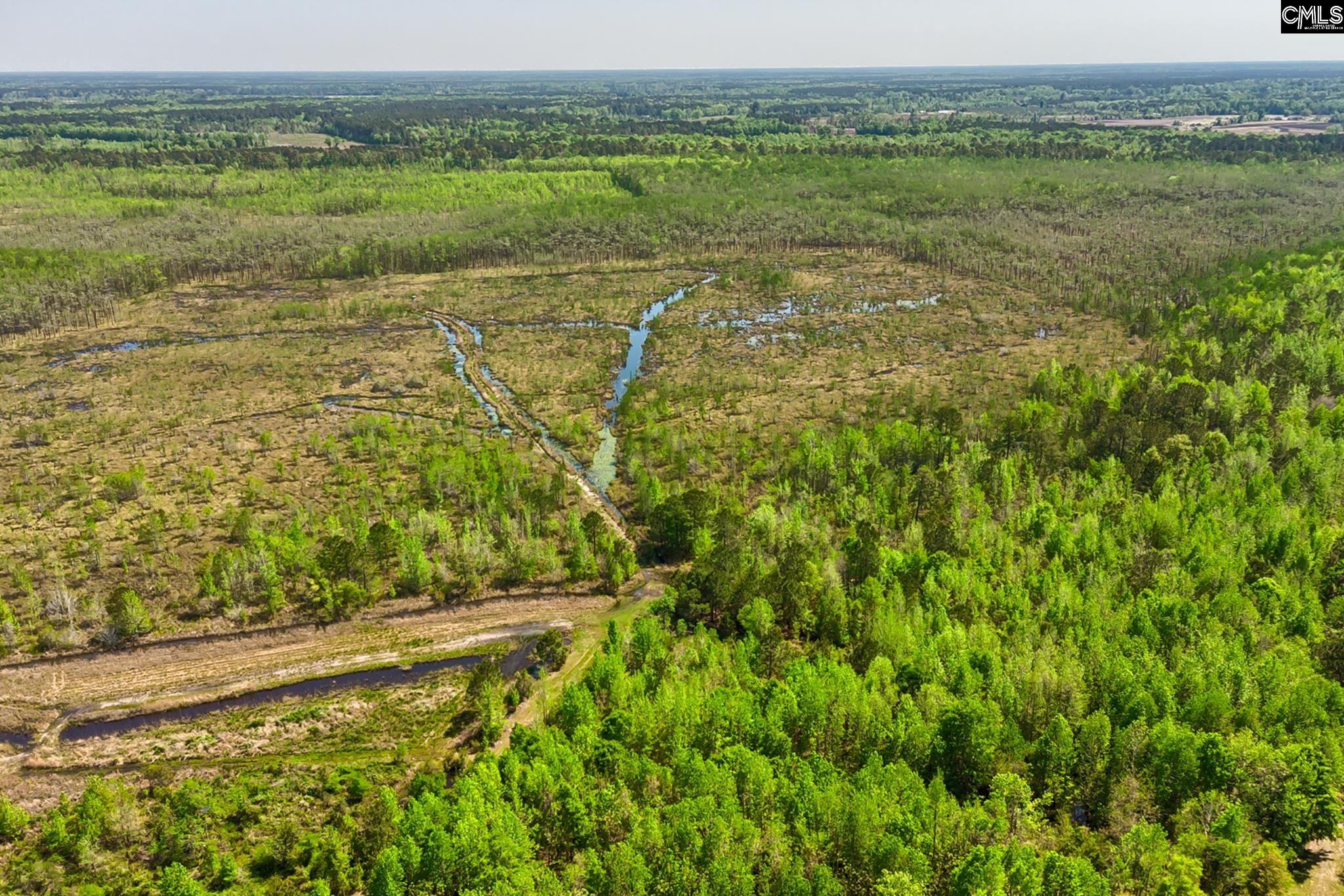 Tbd Alligator Road Olar, SC 29843 - Photo 16 of 24