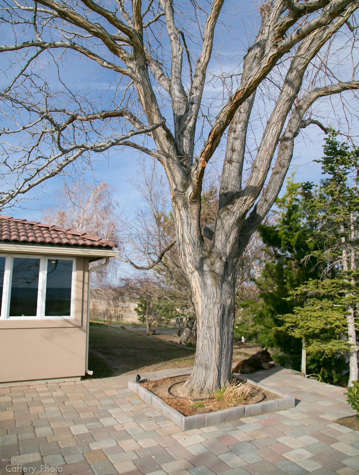 1102 Hillman Road Yakima, WA 98908 - Photo 23 of 49 a front view of a house with a yard