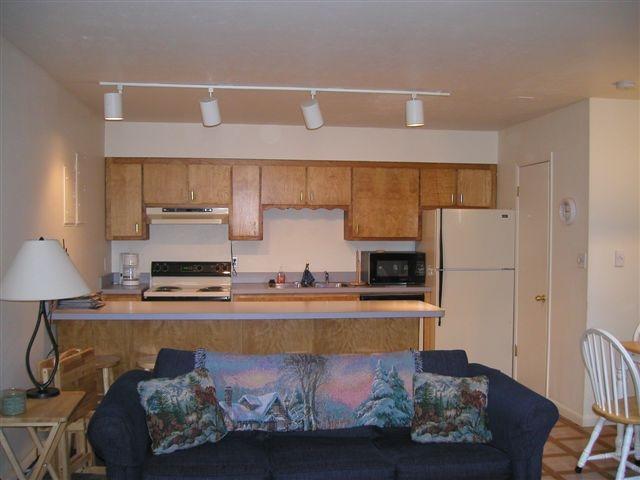 862 Vasquez Road Winter Park, CO 80482 - Photo 2 of 4 Kitchen