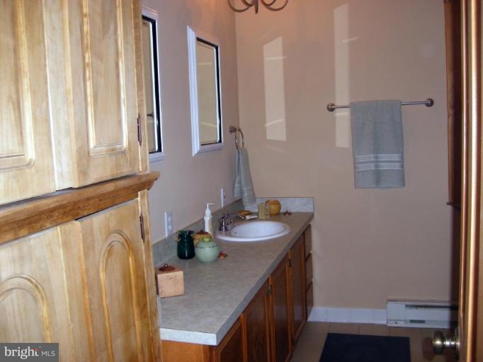 223 Steps To Heaven Road Linden, VA 22642 - Photo 23 of 30 Master Bath