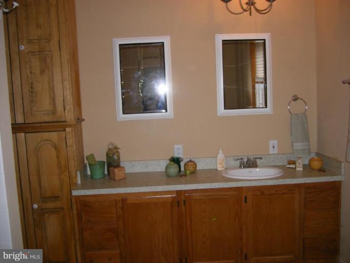 223 Steps To Heaven Road Linden, VA 22642 - Photo 24 of 30 Master Bath #2