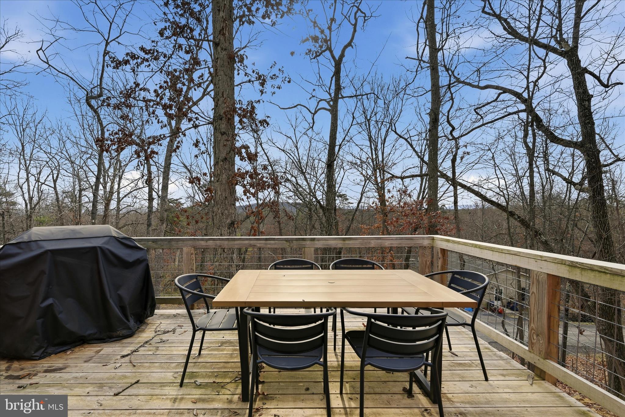 8258 Supinlick Ridge Road Basye, VA 22842 - Photo 31 of 65 Patio