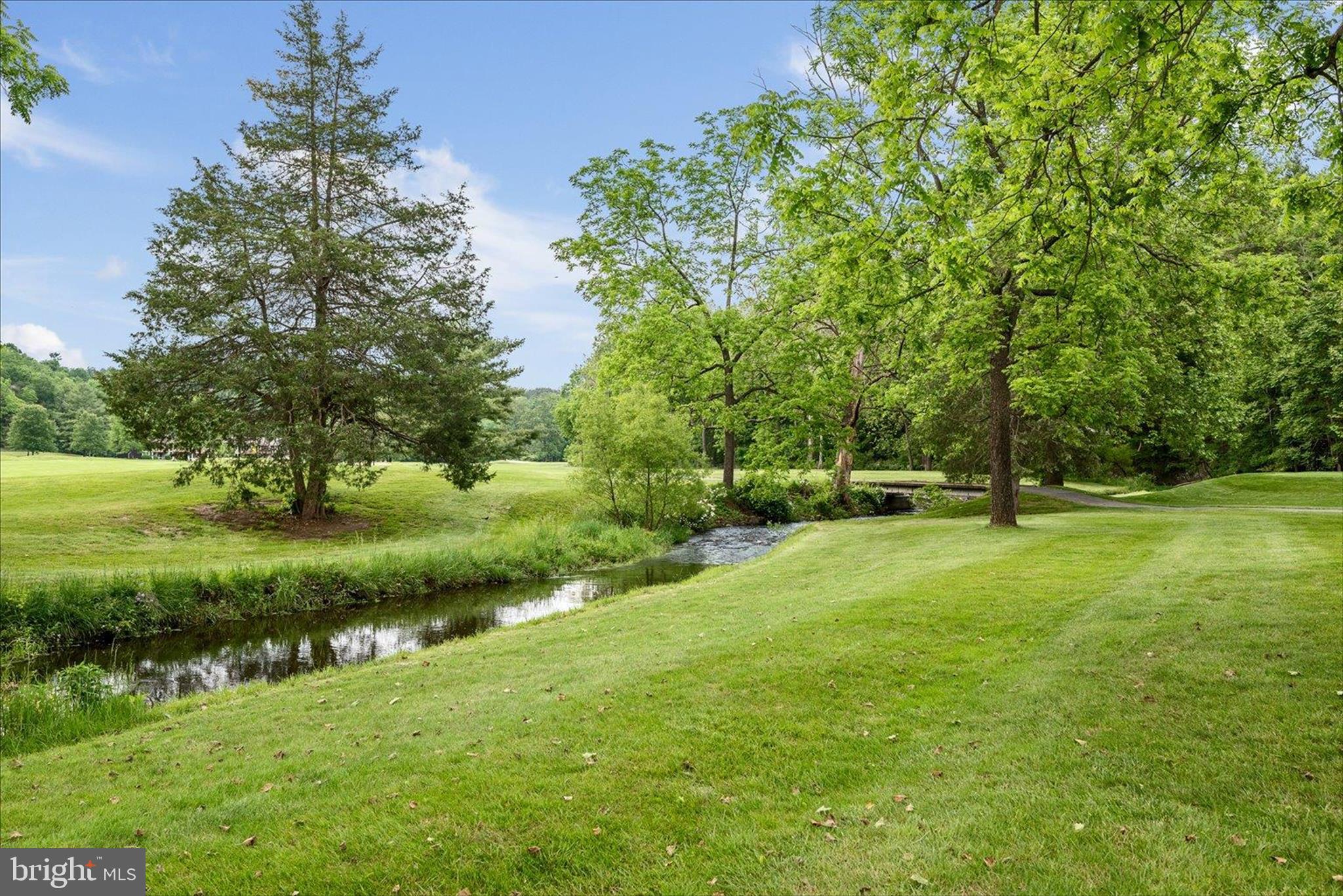 8258 Supinlick Ridge Road Basye, VA 22842 - Photo 46 of 65 06-Basye Resort