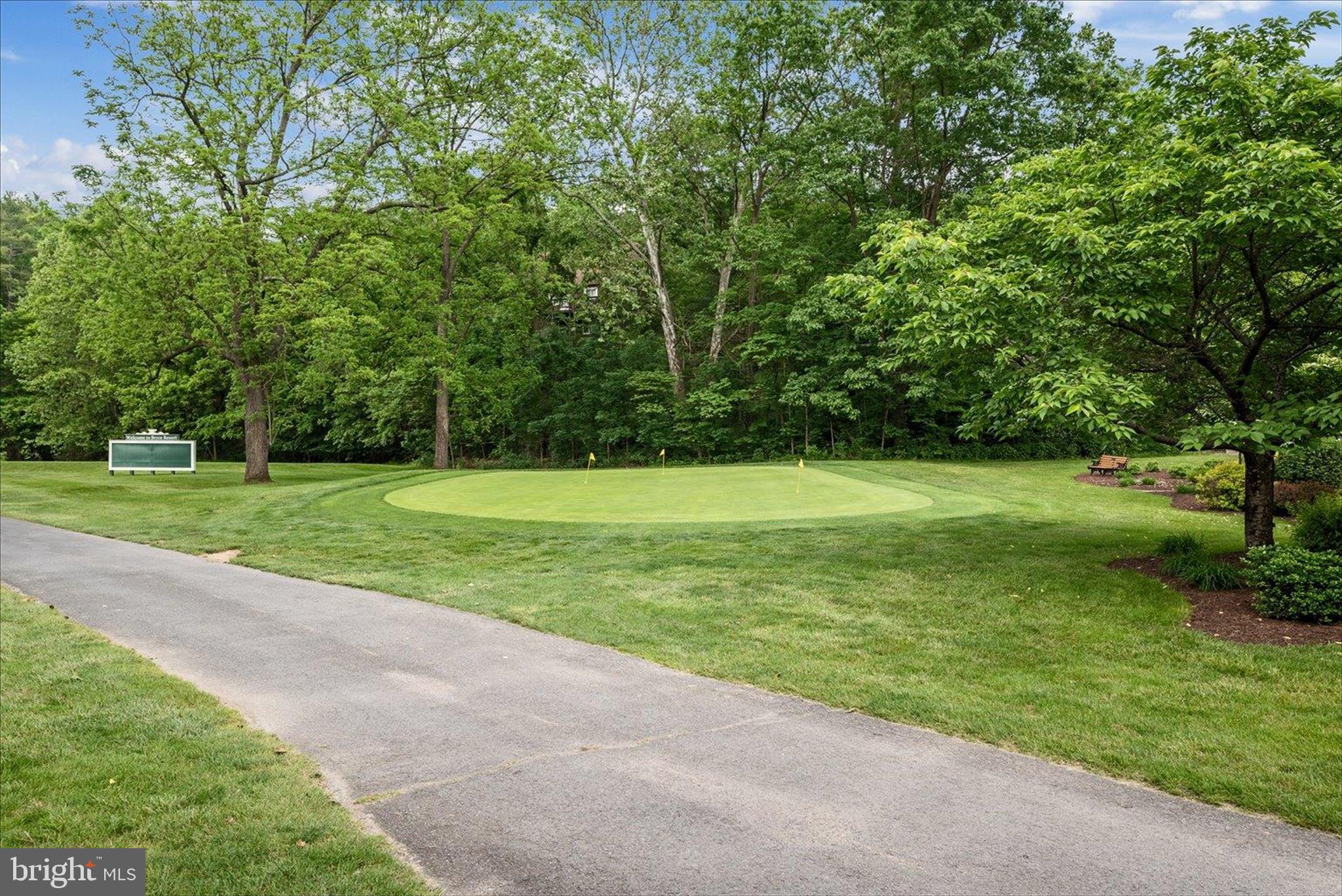 8258 Supinlick Ridge Road Basye, VA 22842 - Photo 47 of 65 01-Basye Resort