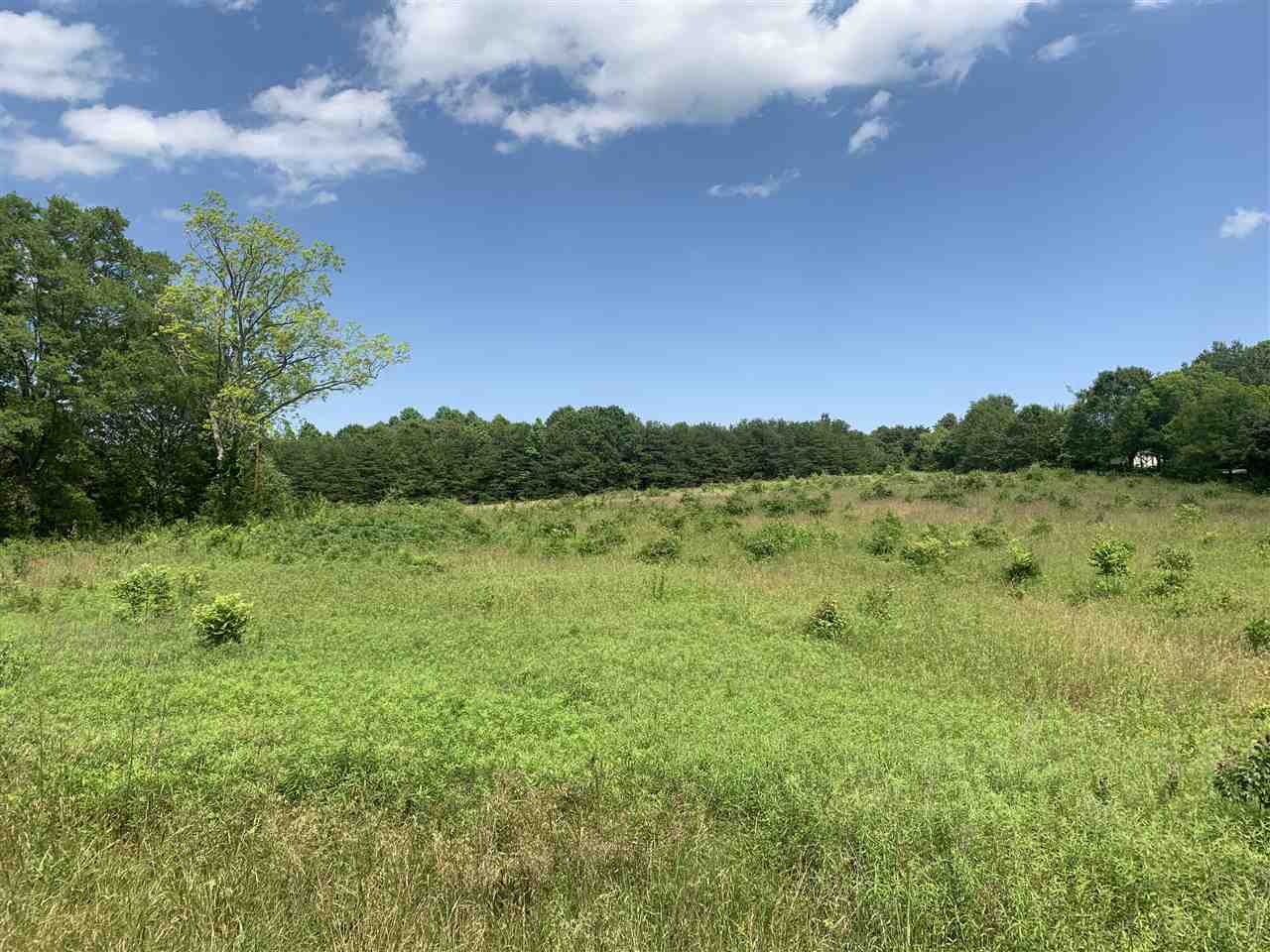 0 Waldrop Road Campobello, SC 29322 - Photo 3 of 6