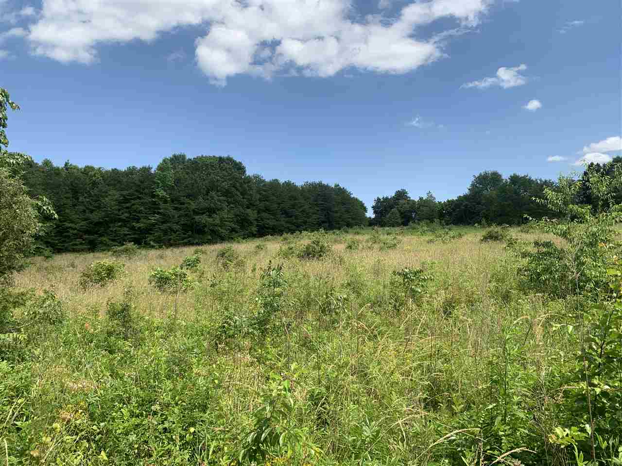0 Waldrop Road Campobello, SC 29322 - Photo 5 of 6