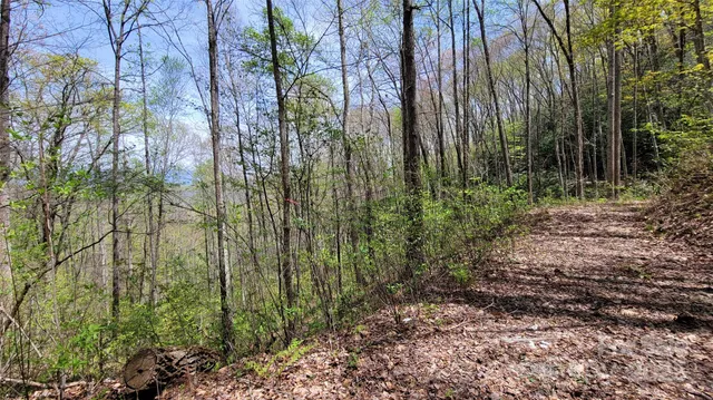 a view of backyard with plants and outdoor seating