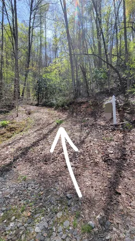 a view of a backyard space