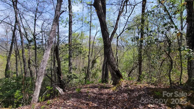 $65,000 | 25 Lacy Fern Ridge, Unit 25, Sylva, NC 28779