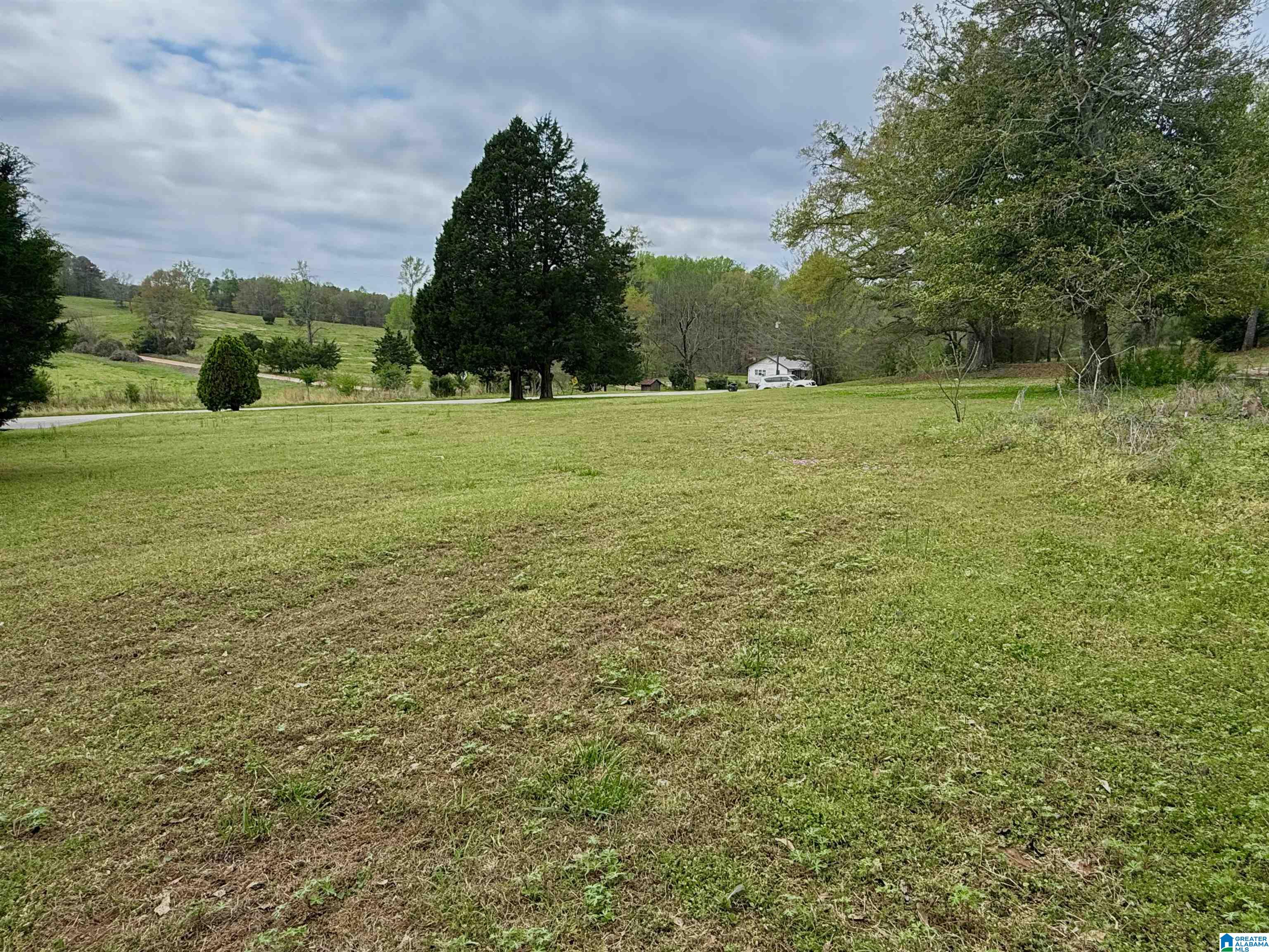 Mitchell Lane Ashland, AL 36251 - Photo 4 of 8