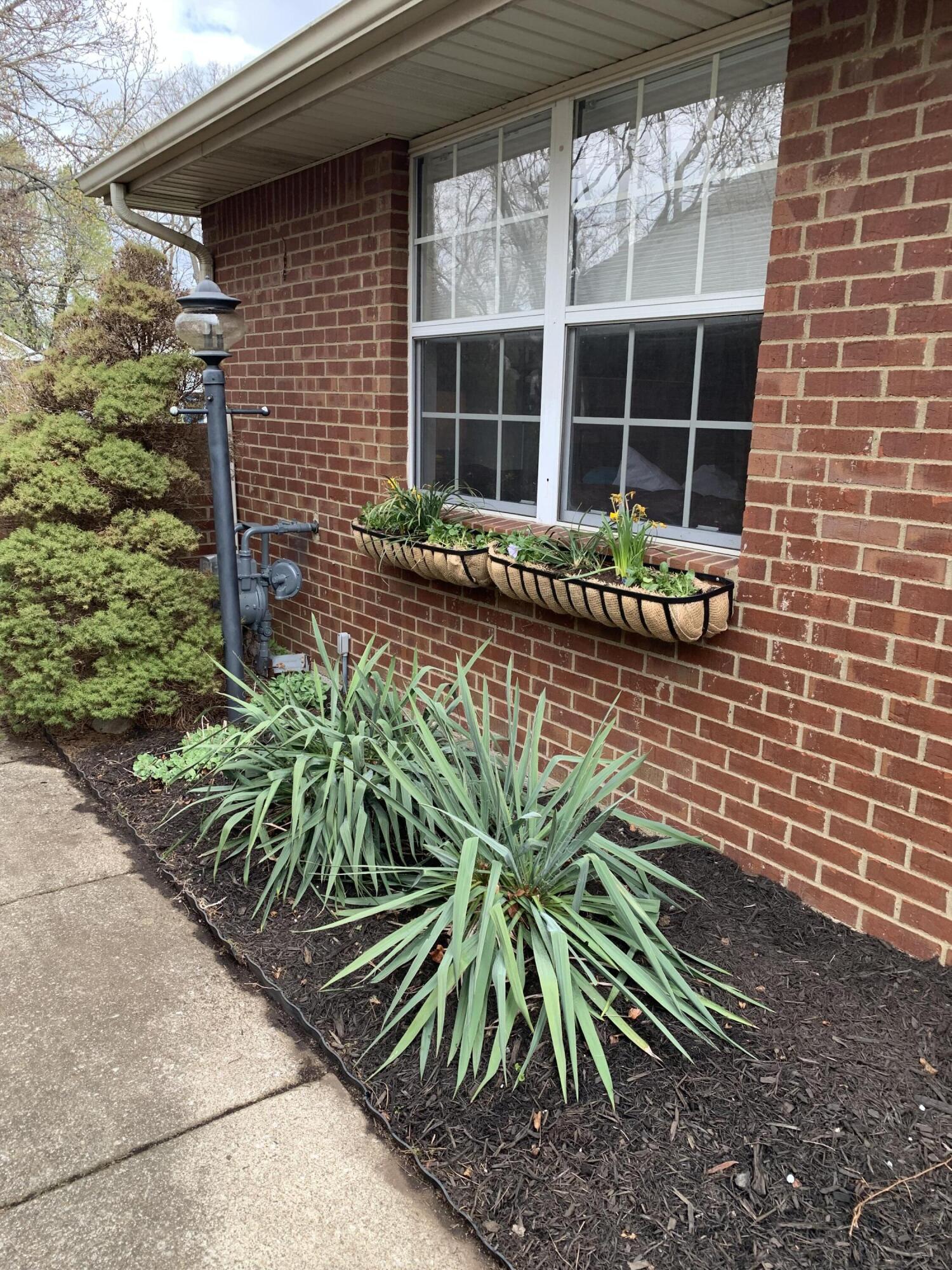 350 Retrac Road Lexington, KY 40503 - Photo 6 of 33 IMG_2379
