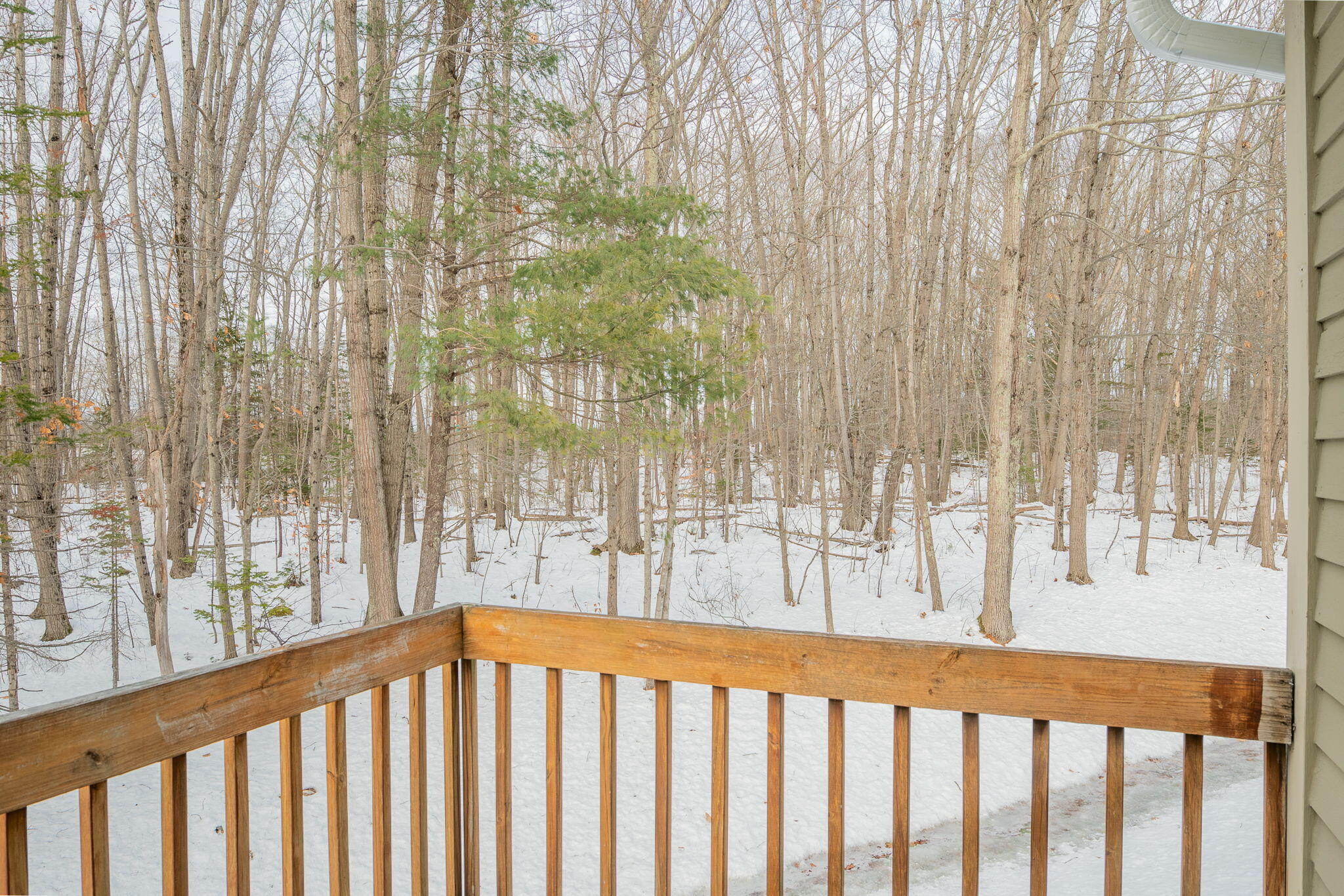 15 Linwood Road, Unit 15 Freeport, ME 04032 - Photo 15 of 23 35-web-or-mls-15 Lindwood-55
