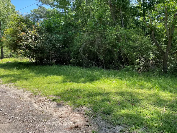 $13,000 | 366-374 Rain Forest Road, Onalaska, TX 77360