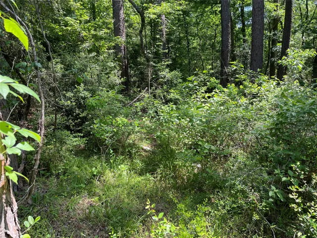 $13,000 | 366-374 Rain Forest Road, Onalaska, TX 77360