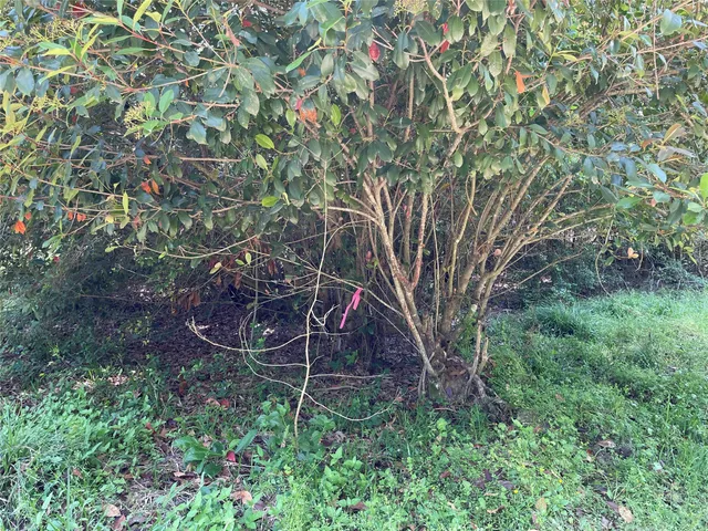 $13,000 | 366-374 Rain Forest Road, Onalaska, TX 77360