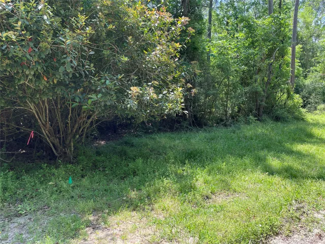 $13,000 | 366-374 Rain Forest Road, Onalaska, TX 77360