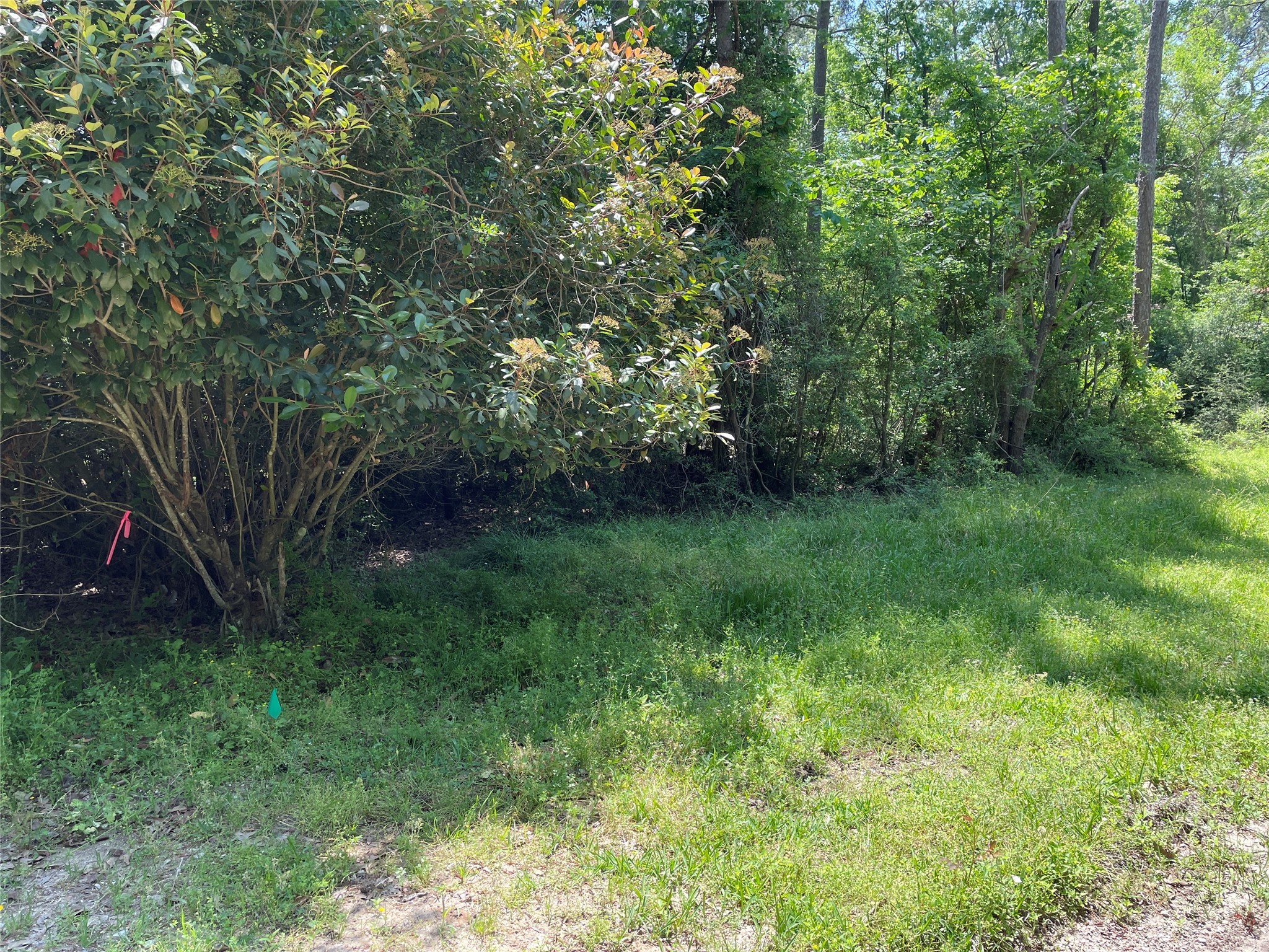 366-374 Rain Forest Road Onalaska, TX 77360 - Photo 6 of 6