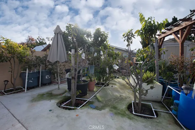 a view of a backyard with plants and a tree
