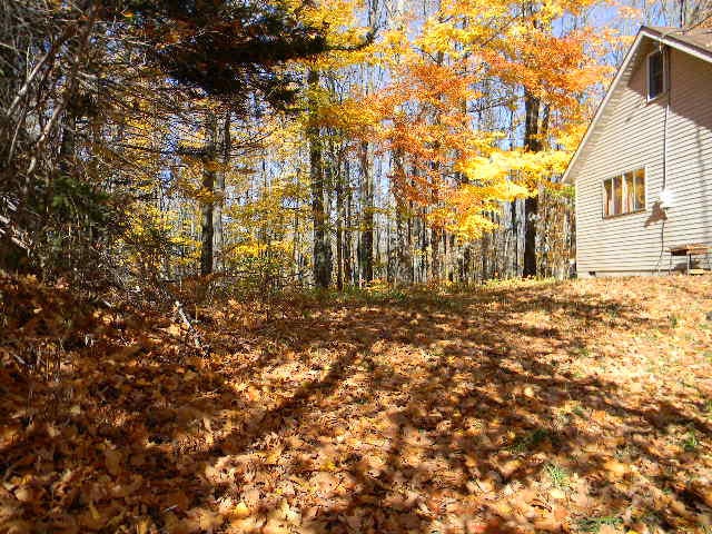 9923 South North Hulbert Road Hulbert, MI 49748 - Photo 7 of 7 Gallery Image 7