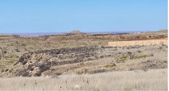 a view of beach and ocean