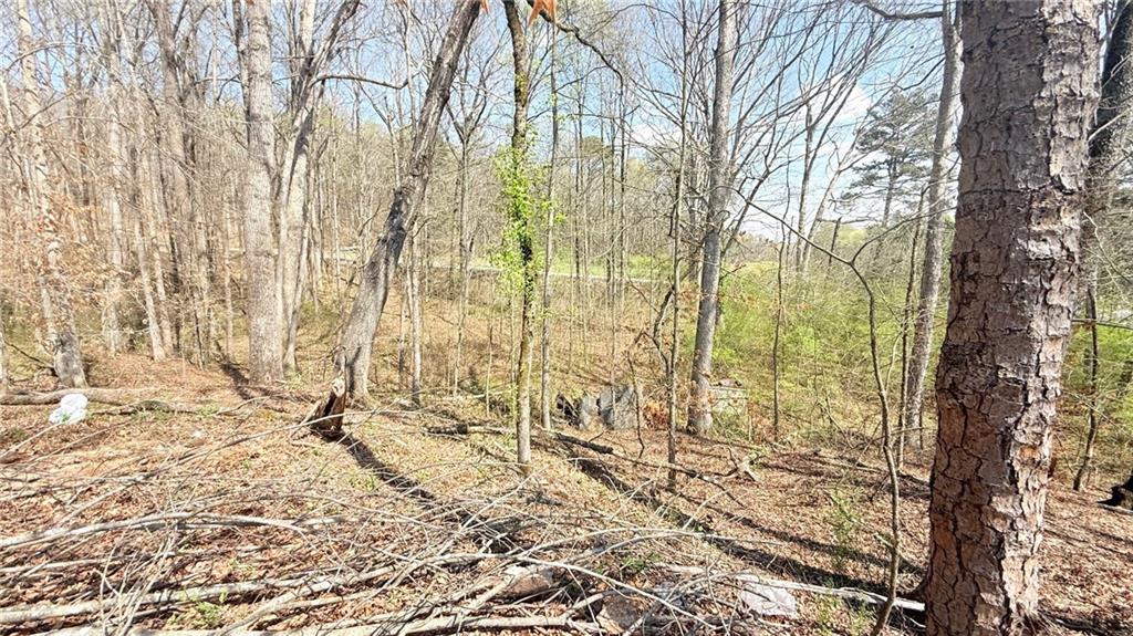 5937 Union Church Road Braselton, GA 30517 - Photo 8 of 9