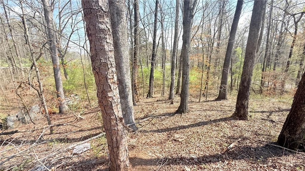 5937 Union Church Road Braselton, GA 30517 - Photo 9 of 9